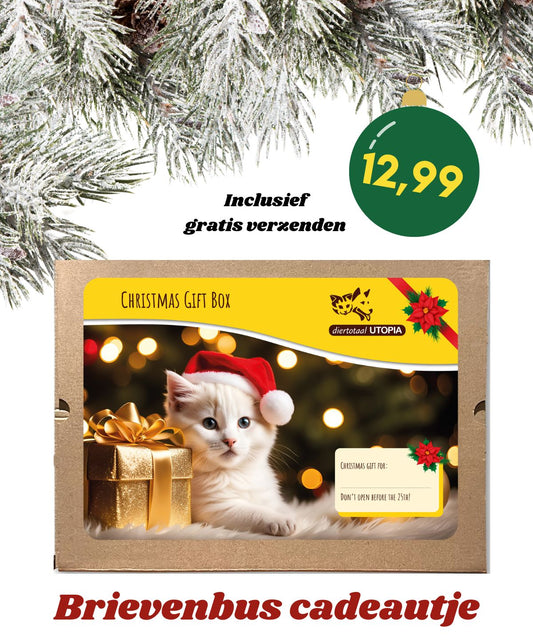 Brievenbus kerstpakketje voor de kat